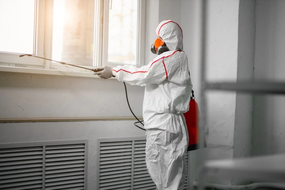 Professional mold remediation services in Roosevelt, NY
